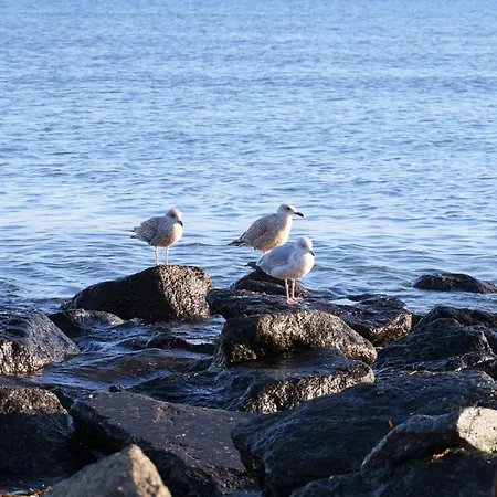 Apartament Strandresidenz Nr 03 *